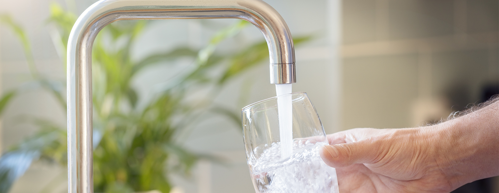 Trinkwasserfilter